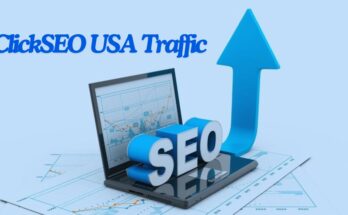 ClickSEO USA Traffic