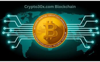 Crypto30x.com Blockchain