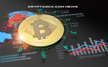 Crypto30x.com News